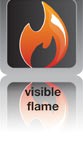 Visible Flame